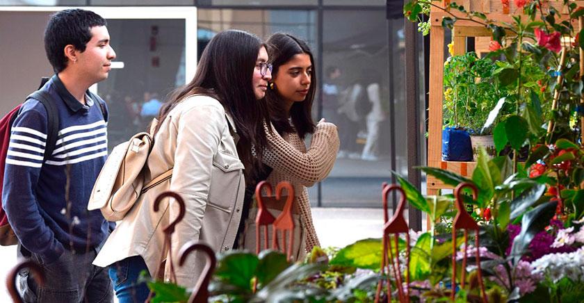 Universidad de Chile anuncia segunda edición de la Semana Campesina "Sin campo no hay ciudad"